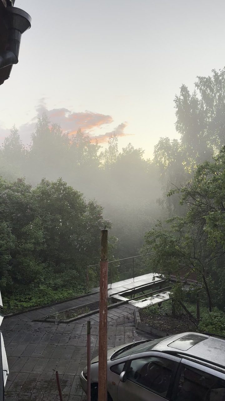 Утро на участке